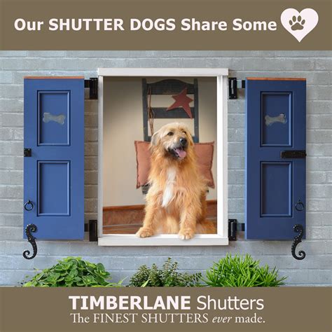 shutter dogs pictures